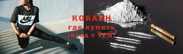 прущие крисы Туринск