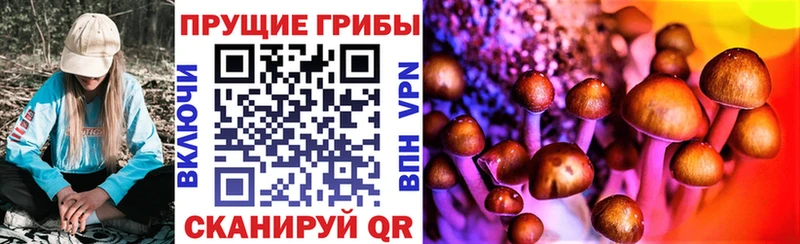 Галлюциногенные грибы Psilocybe  Ясный 